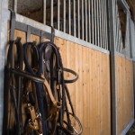 Box des chevaux du gîte équestre d'En Lanet dans le Tarn