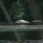 Sidobre : granit au lac du merle