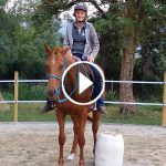 Débourrage d'un cheval en douceur
