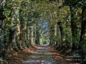 Accès aux chambres d'hôtes du relais d'En Lanet