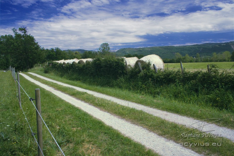 Ballades pédestres dans le Tarn