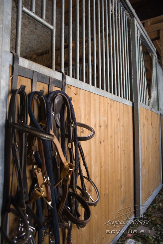 Box des chevaux du gîte équestre d'En Lanet dans le Tarn