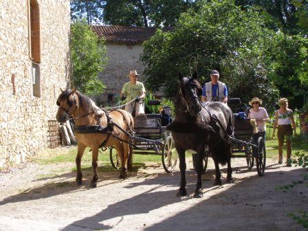 Gîte équestre dans le Tarn