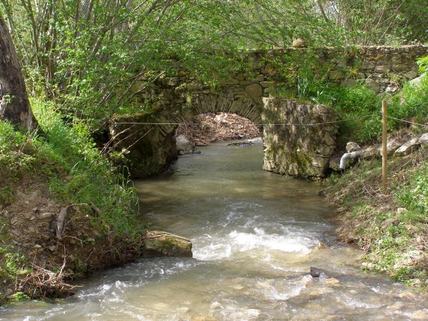 Gîte équestre et chambre d'hôtes en pleine nature