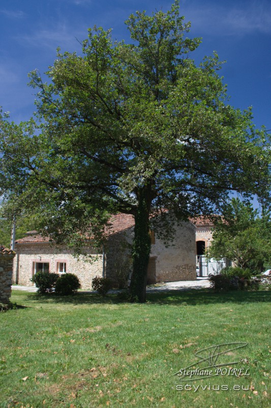 Gîte et chambres d'hôtes dans le Tarn