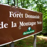 Forêt de la Montagne Noire