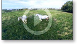 Présentation vidéo du gîte et des chambres d'hôtes depuis un drone