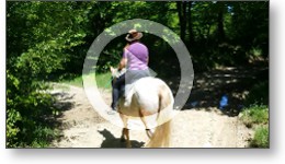 Balades à cheval dans le Tarn