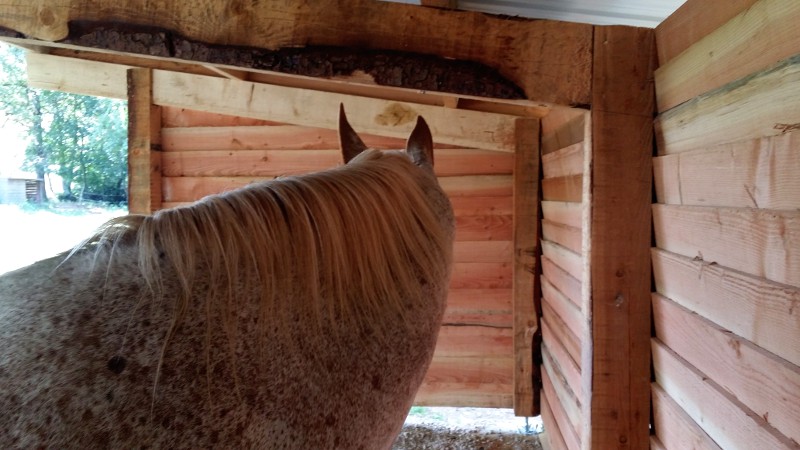 Gîte équestre, un nouvel abri pour chevaux