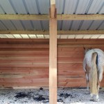Gîte équestre, un nouvel abri pour vos chevaux