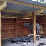 Gîte équestre, un nouvel abri pour les chevaux