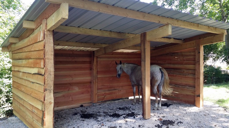 Gîte équestre, un nouvel abri pour les chevaux