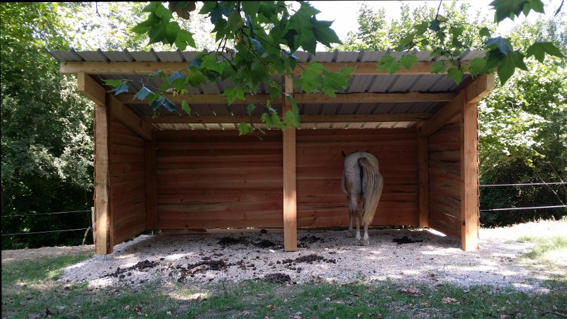 Gîte équestre, un nouvel abri pour chevaux