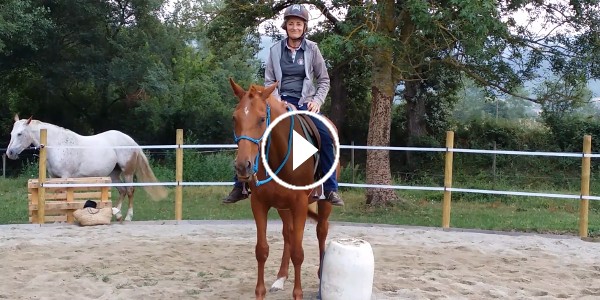 Débourrage d'un cheval en douceur