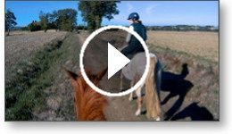 Balades à cheval dans le Sud-Ouest