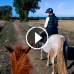 Balades à cheval dans le Tarn