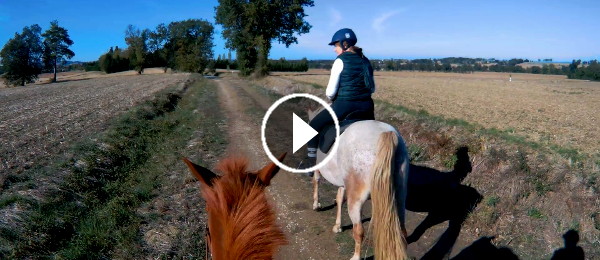 Balades à cheval dans le Tarn