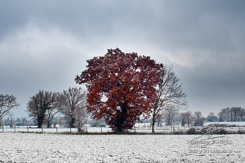 Neige dans le Tarn