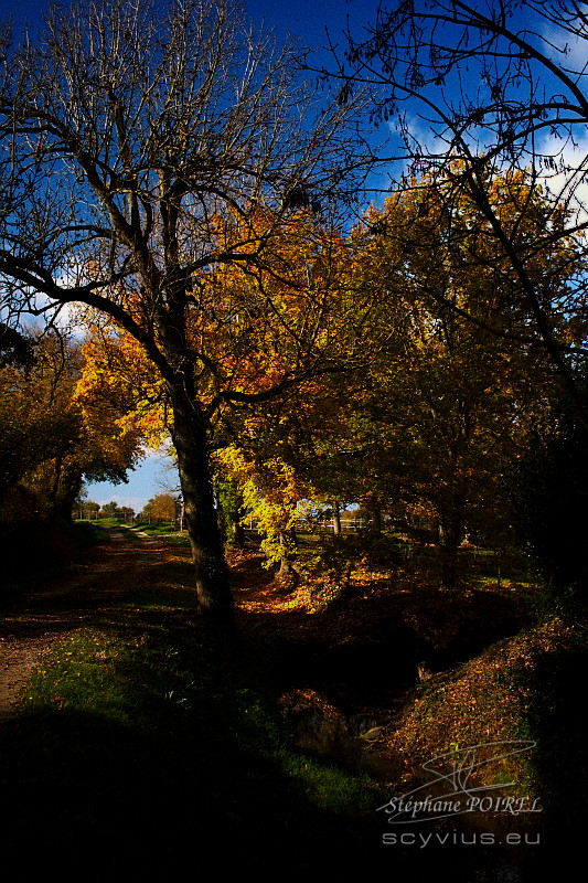 Chambres d'hôtes en automne