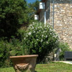 Jardin et piscine des chambres d'hôtes