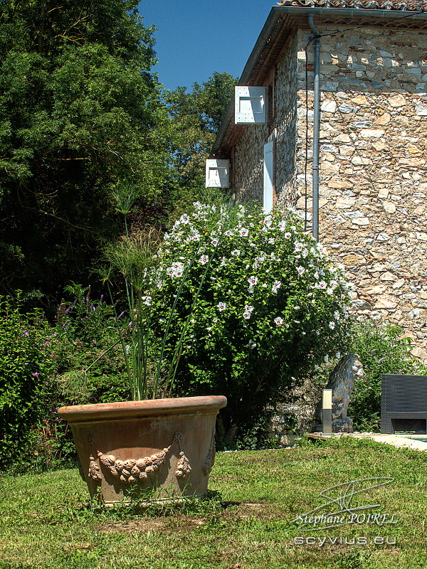 Jardin et piscine des chambres d'hôtes