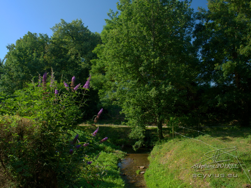 Le ruisseau du Relais d'En Lanet