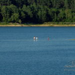 Baignades au lac de Saint-Ferréol