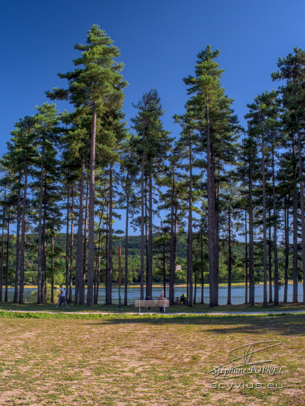 Balade au lac de Saint-Ferréol