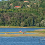 L'été au lac de Saint-Ferréol