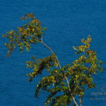 Lac des Cammazes