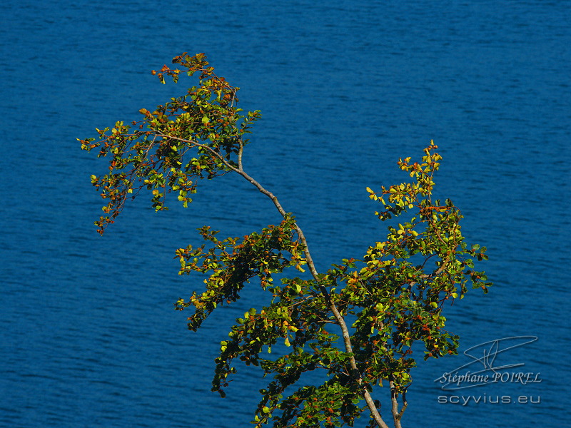 Lac des Cammazes