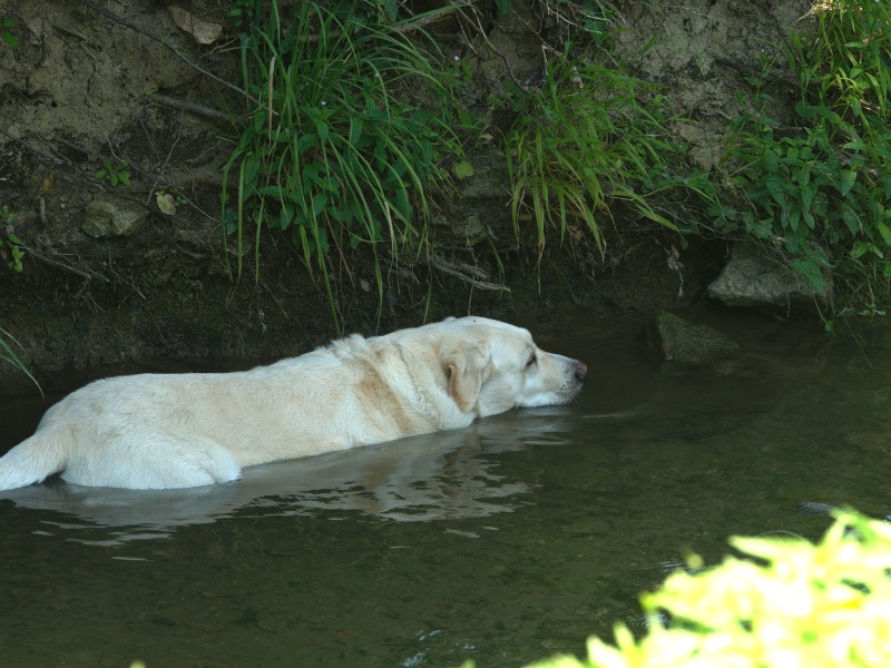 Refroidissement à eau