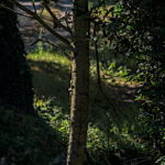 Chambres d'hôtes en pleine nature