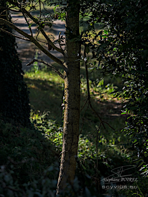 Chambres d'hôtes en pleine nature