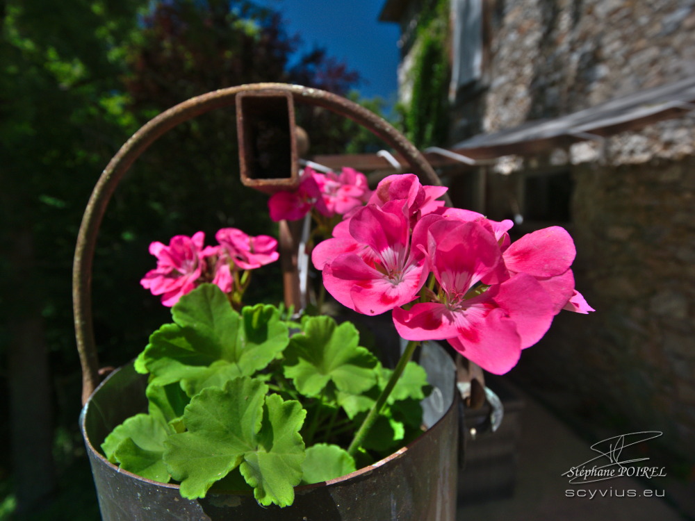 Terrasse des chambres d'hôtes